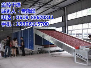 干燥機(jī)在化工設(shè)備制造中的應(yīng)用 以金陵干燥海鮮精干燥機(jī)為例